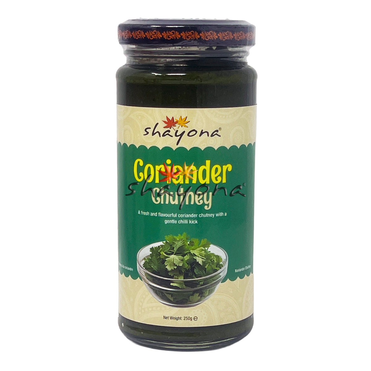 Shayona Coriander Chutney