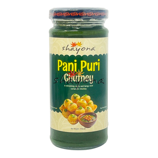 Shayona Pani Puri Chutney