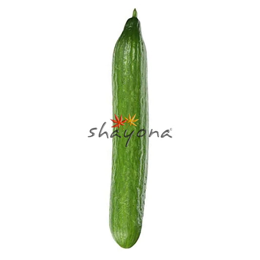Cucumber