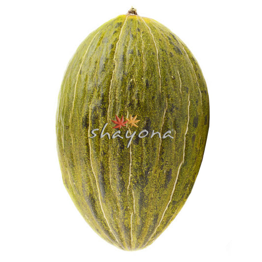 Melon - Frog