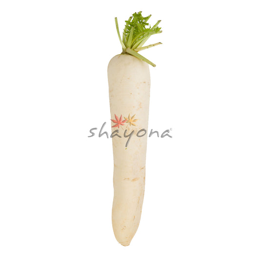 White Radish (Mooli)
